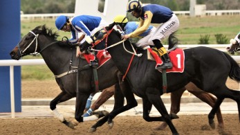 Σήμερα στο Markopoulo Park το 77ο Ελληνικό Ντέρμπι-Πέντε καθαρόαιμοι τριετείς διεκδικούν τον τίτλο του «χρυσού ίππου»