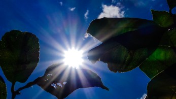 Η ζέστη σκότωσε σχεδόν 50.000 ανθρώπους στην Ευρώπη το 2023