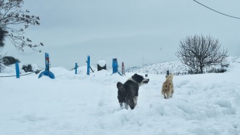Ψυχρή εισβολή από αύριο μέχρι και την Κυριακή - Πού θα χιονίσει