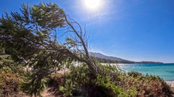 Meteo: ο θερμότερος Νοέμβριος των τελευταίων 15 ετών - Πανευρωπαϊκό ρεκόρ στην Κρήτη με 35,1 βαθμούς