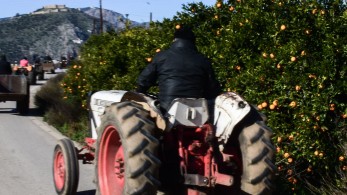 Πληρωμές 28 εκατ. ευρώ από τον ΕΛΓΑ την Πέμπτη - Ποιους αφορούν