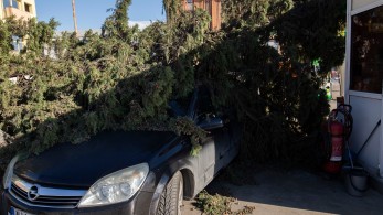 Θεσσαλονίκη: 150 κλήσεις δέχθηκε η Πυροσβεστική – Στα 106 χλμ./ώρα οι ριπές ανέμου