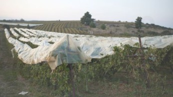 Χρηματοδότηση 26,9 εκατ. ευρώ προς τους ΟΤΑ για τις επιπτώσεις από φυσικές καταστροφές