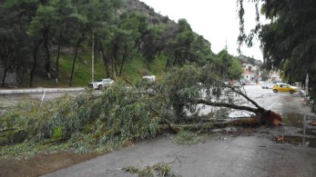 Καιρός: θυελλώδεις άνεμοι σε Καστελόριζο και Ρόδο- Ζημιές στο οδικό δίκτυο και πτώσεις δέντρων στην Σάμο