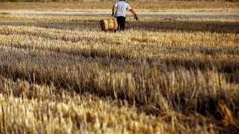 Πρόγραμμα 590 εκατ. ευρώ για νέους αγρότες