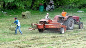 ΥΠΕΝ: Όλα τα νέα μέτρα για τη μείωση των τιμών αγροτικού ρεύματος