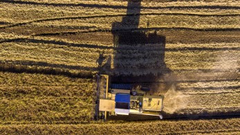 arogi.gov.gr: άνοιξε ο δεύτερος κύκλος της πρώτης αρωγής για τους αγρότες