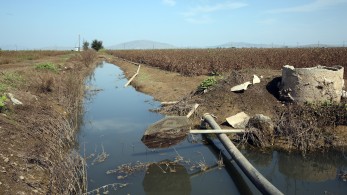 ΣΕΒ: 20 εκατ. ευρώ για τη Θεσσαλία
