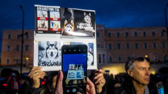 Υπόθεση Όλιβερ: δεν προκύπτει ανθρώπινη κακοποίηση