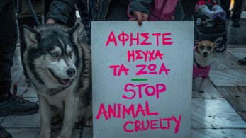 Εκπρόσωπος ΕΛΑΣ: Δεν προκύπτει κακοποίηση του Όλιβερ από άνθρωπο