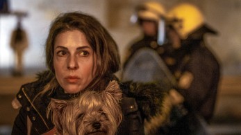 Σε λειτουργία η πλατφόρμα pet.gov.gr για τα ζώα συντροφιάς - Οι σημαντικότερες καινοτομίες