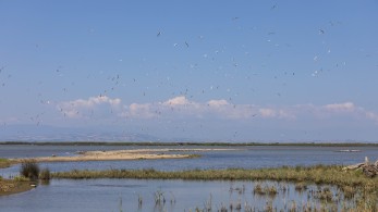 Υπεγράφη η σύμβαση της Intrakat με την «Εγνατία Οδό ΑΕ» για τη γέφυρα του ποταμού Αξιού