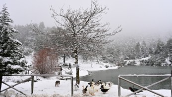 Νέο δελτίο επιδείνωσης του καιρού - Πώς θα κινηθεί η «Αυγή» τις επόμενες ώρες