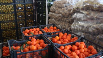 Χρονιά-ρεκόρ για τις εξαγωγές φρούτων και λαχανικών το 2023