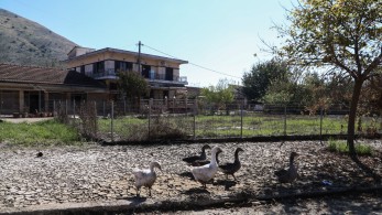 ΔΥΠΑ: πάνω από 1.500 νέες θέσεις εργασίας δημιουργήθηκαν στη Θεσσαλία