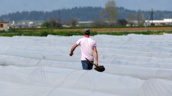 Τα έξι νέα μέτρα για τους αγρότες