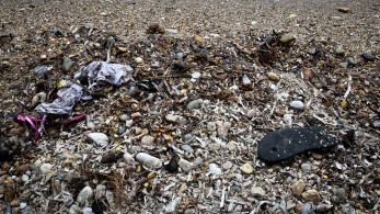 Έξι χρόνια μετά το Μάτι 104 ψυχές συνεχίζουν να ζητούν Δικαιοσύνη...