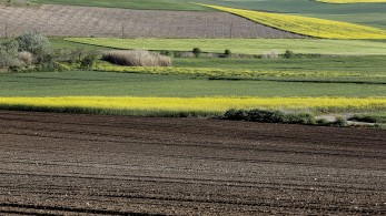ΥΠΑΑΤ: 575 εκατ. ευρώ για 1039 αιτήσεις αγροτικής οδοποιίας