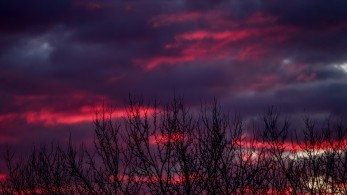 Ευρώπη: ατμομηχανή της υφηλίου για ένα πιο καθαρό και βιώσιμο μέλλον