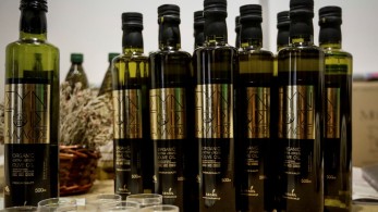 Ελαιόλαδο: πάνω από 50% αυξήθηκε η τιμή του στην ΕΕ μέσα σε ένα χρόνο-67% στην Ελλάδα