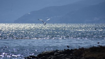 Καιρός: ζέστη και τοπικές βροχές στα βορειοανατολικά