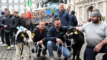 Ιταλία: «Η συμπεριφορά της Μελόνι είναι προσβλητική», λένε οι αγρότες της Σαρδηνίας