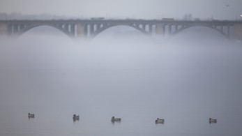 ΗΠΑ: κατέρρευσε γέφυρα στη Βαλτιμόρη - Έπεσε πάνω της πλοίο (βίντεο)