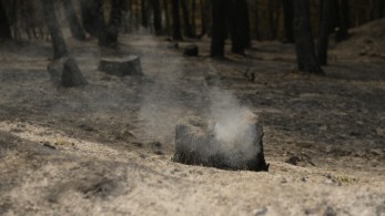 Ταΰγετος: μαίνεται πυρκαγιά σε δύσβατο σημείο