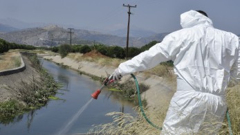 Υπουργείο Υγείας: σχέδιο δράσης για τον ιό του Δυτικού Νείλου