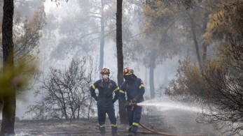Χανιά: Δύο συλλήψεις για την πυρκαγιά στον Κάνδανο