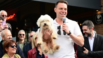 Στέφανε, η μαγκιά είναι καλή, η πολλή μαγκιά βλάπτει…