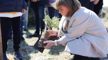 Δενδροφύτευση στην Πάρνηθα από Σακελλαροπούλου και πρέσβεις