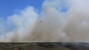 Λαύριο: στον εισαγγελέα ο αντιδήμαρχος για τη φωτιά κοντά στο ΕΠΑΛ