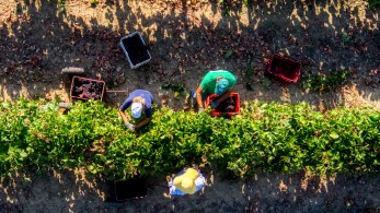Δημήτρης Καιρίδης: «Βάζουμε τάξη στην αγορά εργασίας των αλλοδαπών που ζουν στην Ελλάδα»