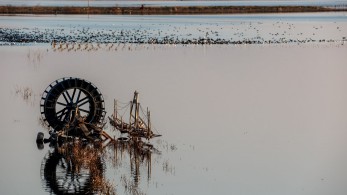 Έρευνα: αύξηση στις ασφάλειες κατοικιών για τις φυσικές καταστροφές