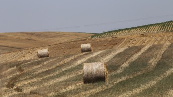 «Τυράκι» για τους ευρωπαίους αγρότες σχεδιάζει η Κομισιόν- «έρχονται» δασμοί στα εισαγόμενα σιτηρά