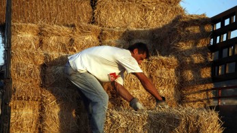 Νέο σχέδιο ρύθμισης για τα «κόκκινα» αγροτικά δάνεια - Ελαφρύνσεις για 21.000 αγρότες