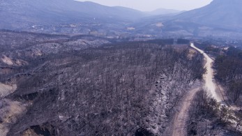 Ευρωπαϊκή Επιτροπή: Στην Αλεξανδρούπολη η μεγαλύτερη φωτιά στην Ευρώπη από τη δεκαετία του 1980