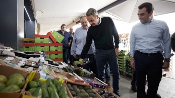 Μεγάλη πτώση τιμών σε δεκάδες οπωροκηπευτικά - Τι δείχνουν τα στοιχεία