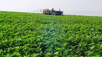 ΕΛΓΟ – ΔΗΜΗΤΡΑ: ξεκινά στις 22 Απριλίου η εγγραφή νέων Μελών στο Μητρώο Εκπαιδευτών