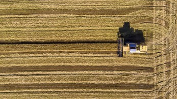 ΕΔΟΡΕΛ: ικανοποίηση για την πρωτοβουλία Αυγενάκη σχετικά με τις εισαγωγές ασιατικού ρυζιού