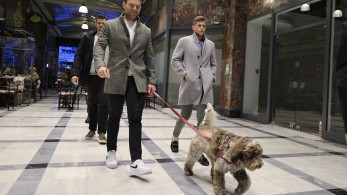 Προκλητικός, χυδαίος και ειρωνικός ο Κασσελάκης προσπαθεί να απαξιώσει τον Μητσοτάκη στο TikTok