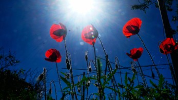 Καιρός: ηλιοφάνεια και άνοδος της θερμοκρασίας