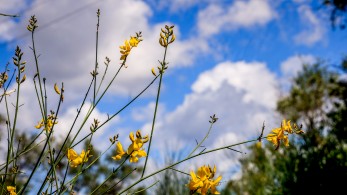 Καιρός: ανοιξιάτικο το Σαββατοκύριακο - Επιδείνωση από Τρίτη με νοτιάδες, βροχές και αφρικανική σκόνη