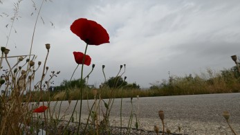 Σταδιακή υποχώρηση της αφρικανικής σκόνης από την Τετάρτη - Έως 35 βαθμούς η θερμοκρασία