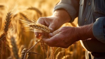 «Ζεστό» χρήμα για τους αγρότες: πληρωμές 785 εκατ. ευρώ από ΟΠΕΚΕΠΕ