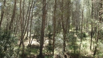 ΣΠΑΥ και «Ίδρυμα Γεώργιος Μ. Μίχαλος» ξεκινούν τα Διανησιωτικά Δίκτυα Μονοπατιών