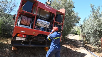 Πολύ υψηλός κίνδυνος πυρκαγιάς σήμερα: ισχυρά μελτέμια και υψηλές θερμοκρασίες