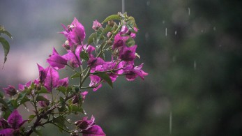 Καιρός: βροχές και καταιγίδες διαδέχονται τον καύσωνα