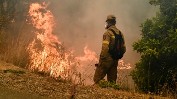 Παραμένουν ενεργά μέτωπα στην Ηλεία - Σε ύφεση οι φωτιές σε Μεγαλόπολη και Κρανίδι
